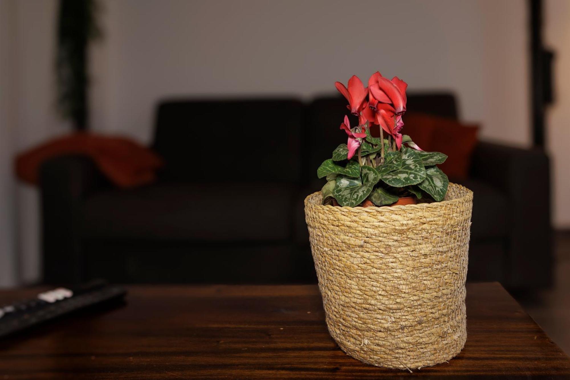 Manhattan Loft - Centre - 5 Mn A Pied Gare - Parking Prive - Patio Troyes Ngoại thất bức ảnh
